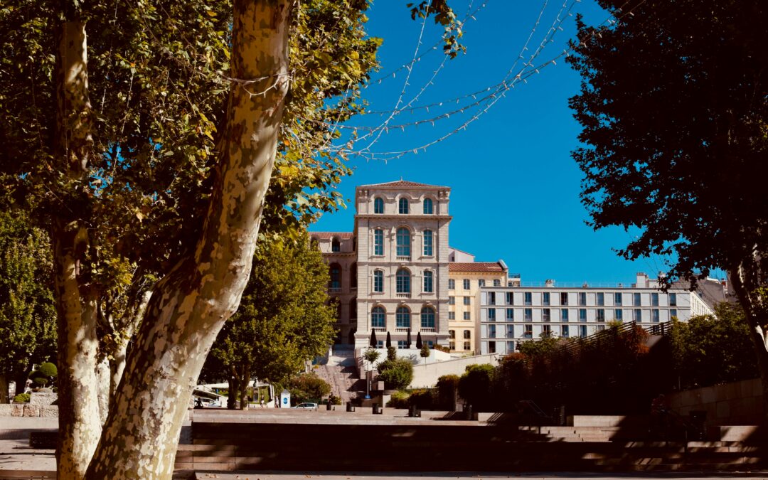 Mariage à Marseille ou en Provence : Comment Adapter Votre Costume à Votre Lieu de Cérémonie